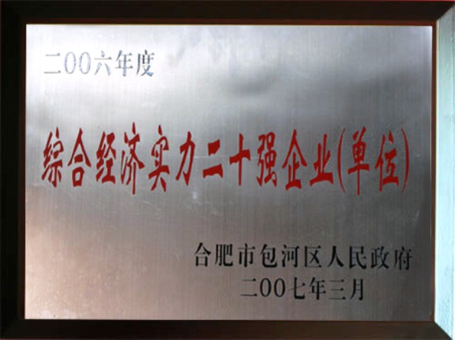 2006二十强企业